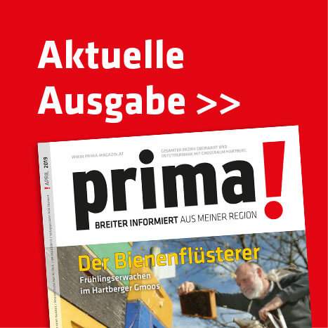 Single Papa, der eine einzige Mutter datiert