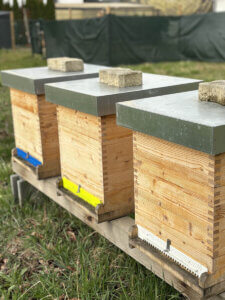 Es sind drei Bienenkisten aus Holz auf dem Bild zu sehen.