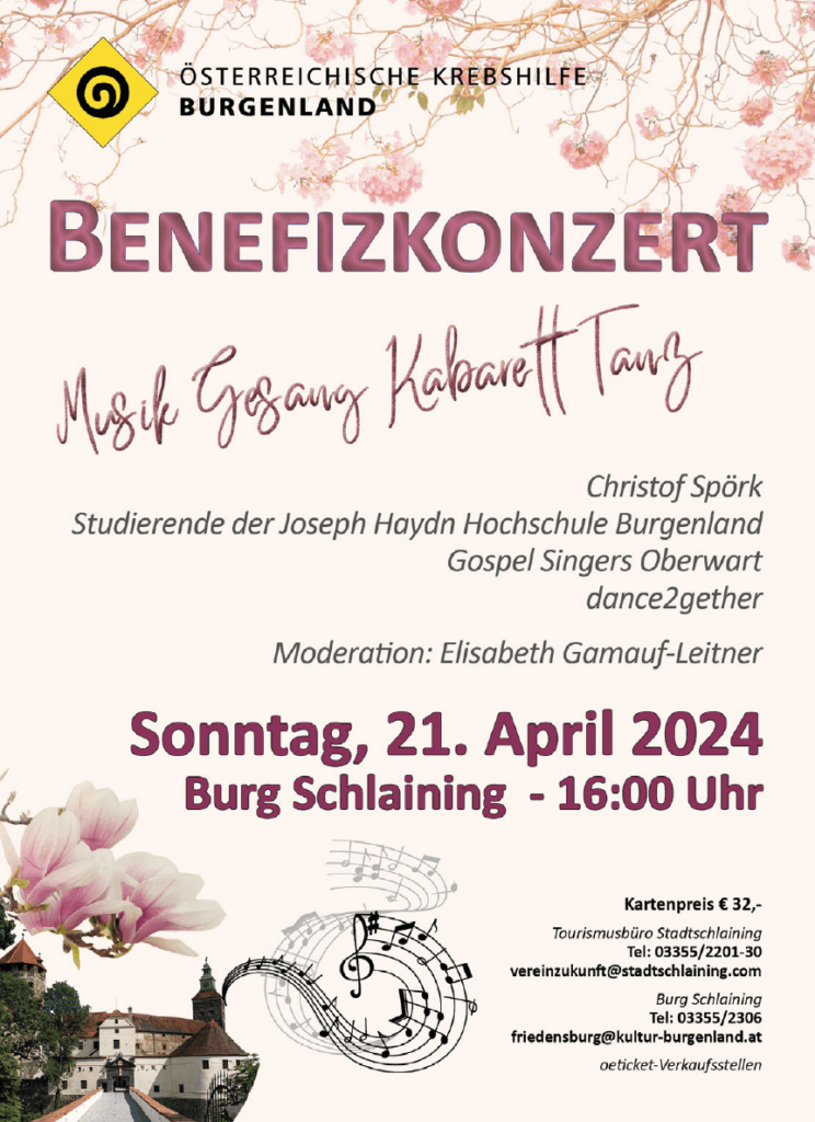 Rosa Flyer mit allen Benefizkonzert details