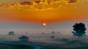 SonnenaufgangNationalparkNeusiederSee: Oranger Himmel eine Straße ist unten zu erkennen und dazwischen ist feiner Nebel der Dämmerung zu erkennen