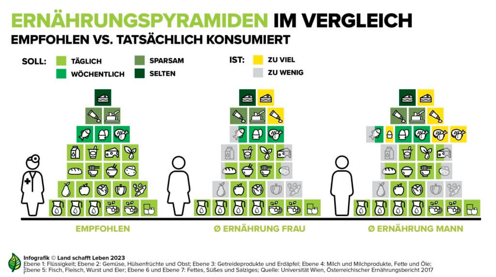 Eine genaue Infografik der ERnährungspyramide.