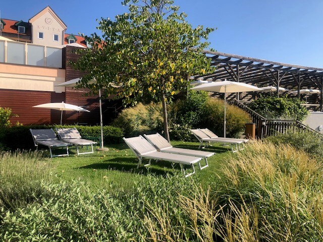 Ein Außenbereich eines Spas zeigt mehrere hellgraue Liegestühle, die auf einem gepflegten Rasen unter weißen Sonnenschirmen stehen. Ein großer Baum spendet zusätzlichen Schatten. Im Hintergrund befindet sich ein Gebäude mit dem Schriftzug "AVITA" und einer Holzverkleidung. Rechts ist eine Pergola zu sehen, die teilweise von Pflanzen überwachsen ist. Hohe Gräser und grüne Sträucher umgeben den Bereich und verstärken das natürliche Ambiente. Der Himmel ist klar und blau.