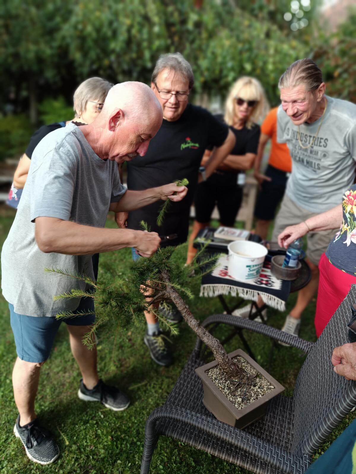 Ein Mann in einem grauen T-Shirt und blauen Shorts schneidet Zweige von einem kleinen Baum in einem rechteckigen Topf ab. Er steht draußen auf einer Rasenfläche, umgeben von mehreren Personen, die ihm zuschauen. Im Hintergrund sind verschwommen einige Bäume und Büsche zu erkennen. Auf einem kleinen Tisch neben ihm steht ein weißer Eimer. Die umstehenden Personen wirken interessiert und beobachten den Vorgang aufmerksam. Foto: Naturfreunde Litzelsdorf