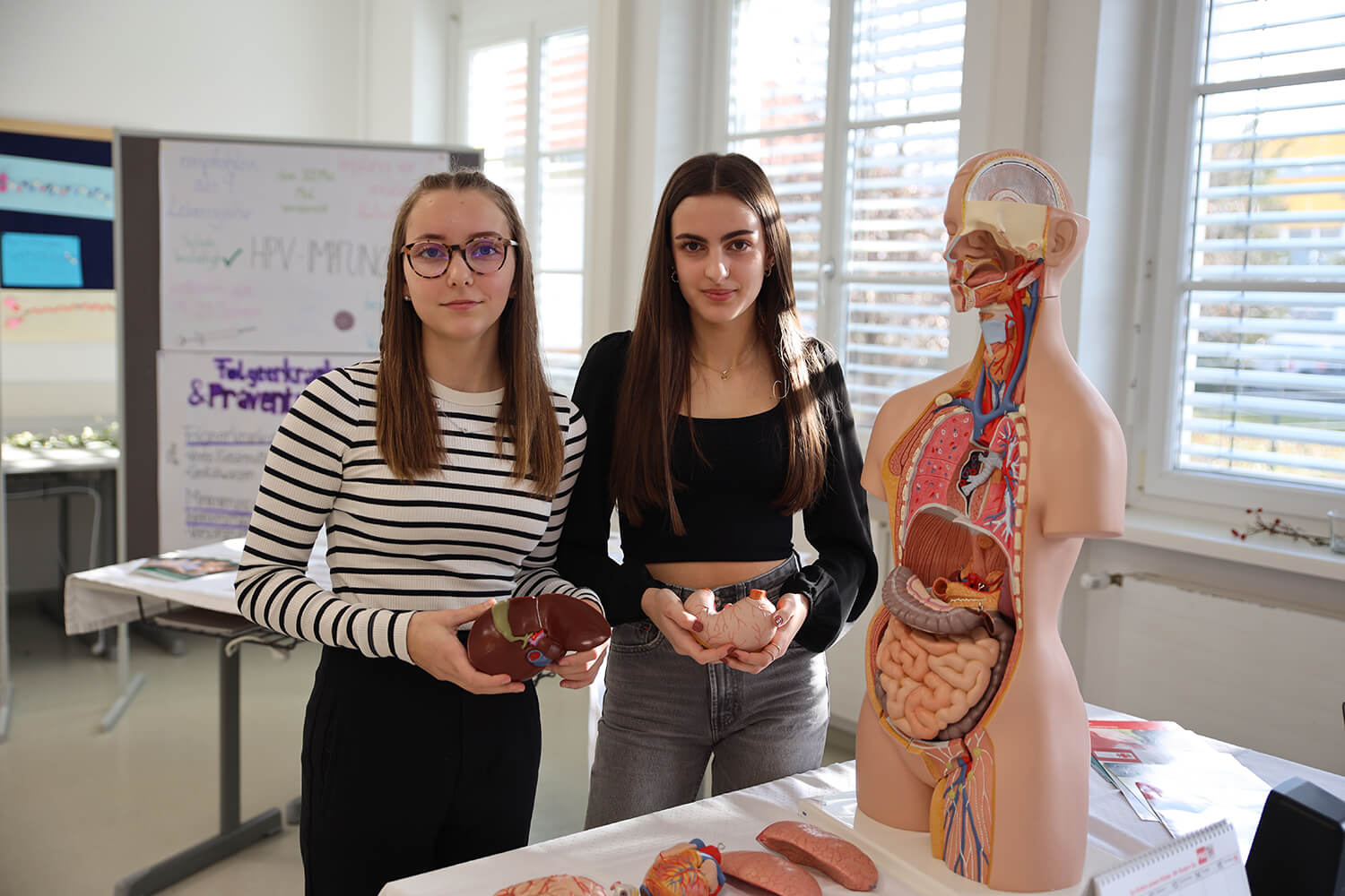 Zwei junge Frauen stehen in einem hellen Raum vor einem anatomischen Modell des menschlichen Körpers. Die Frau links trägt ein gestreiftes Oberteil und hält ein Modell einer Leber in den Händen. Die Frau rechts trägt ein schwarzes Oberteil und hält ein Modell eines Herzens. Auf dem Tisch vor ihnen liegen weitere Organnachbildungen. Im Hintergrund sind große Fenster mit Jalousien sowie Poster und Präsentationen zu einem medizinischen Thema zu sehen. Die Umgebung wirkt wie ein Klassen- oder Schulungsraum. Foto: HLW Pinkafeld