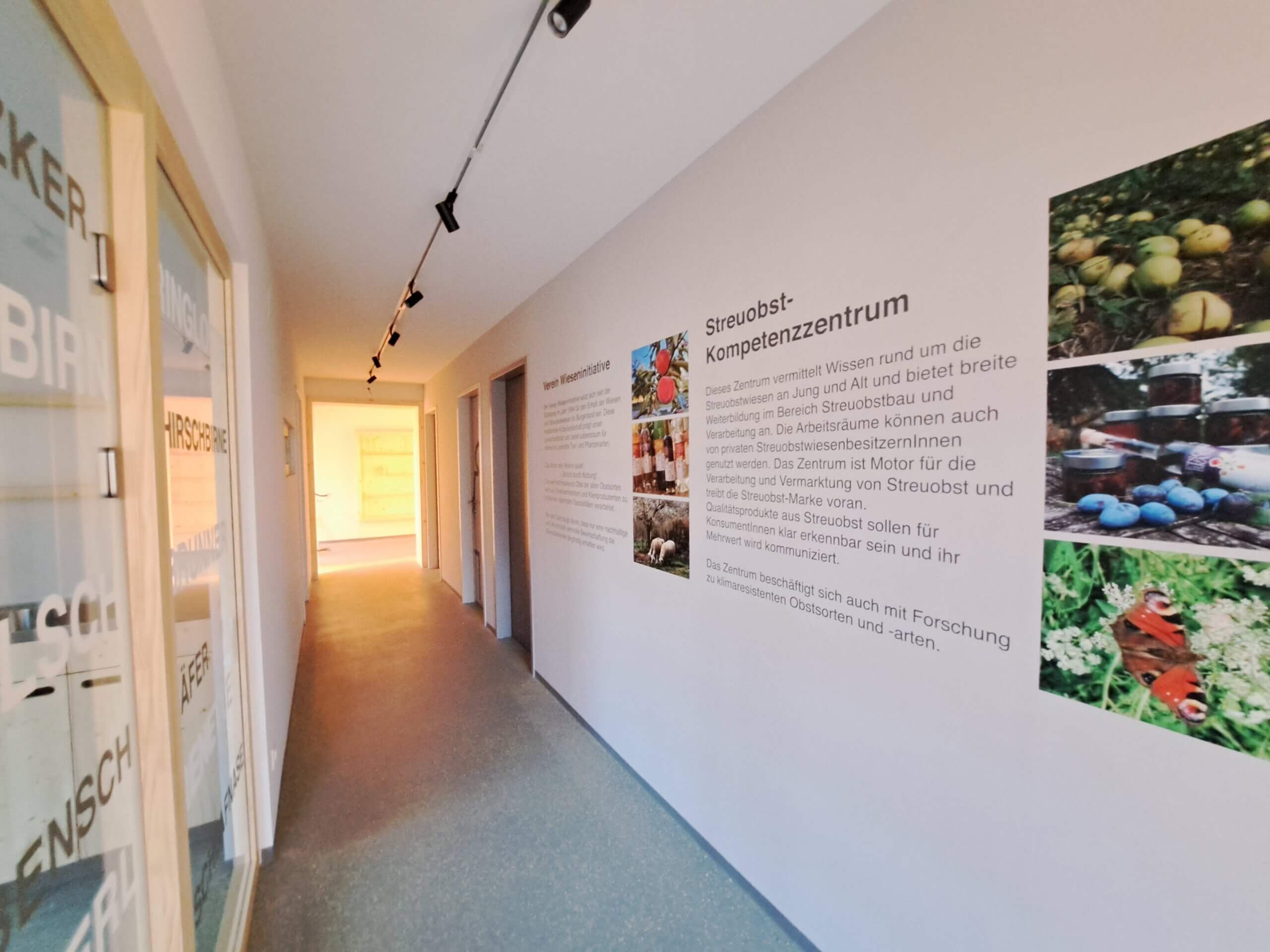 Korridor im Streuobst-Kompetenzzentrum mit Informationswand zu Obstbäumen und Streuobstbau.