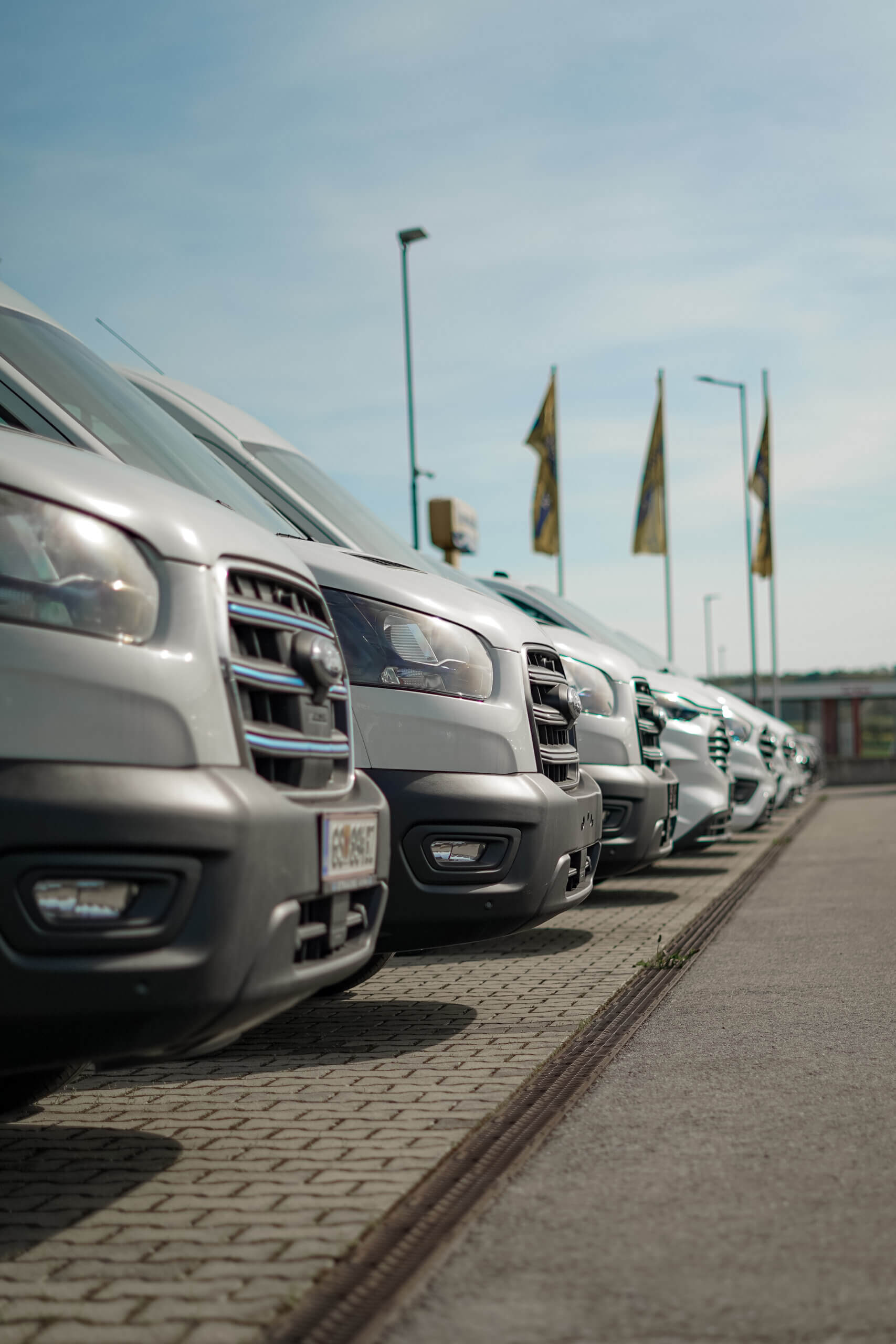 Parkende Autos in einer Reihe bei sonnigem Wetter auf einem gepflasterten Parkplatz vor einem Autohaus.