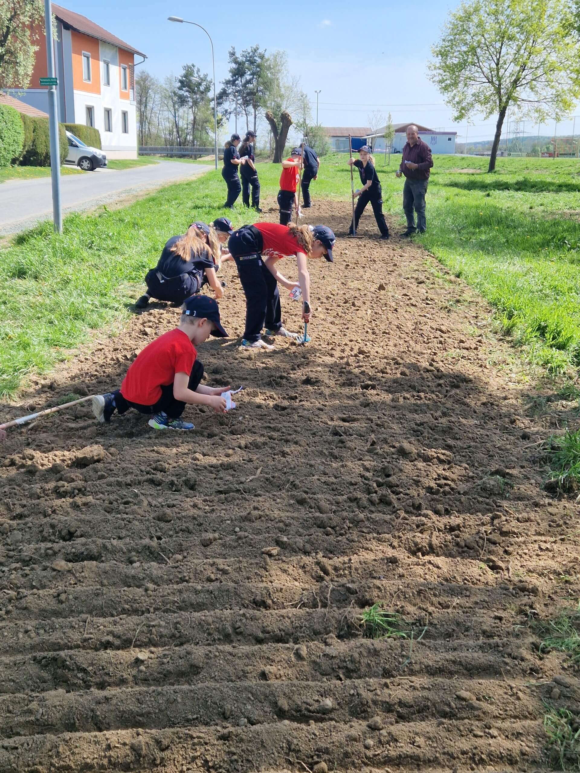 Kinder pflanzen in Erde auf einem Feld nahe einer Straße, betreut von Erwachsenen. Frühlingsaktivität im Freien.