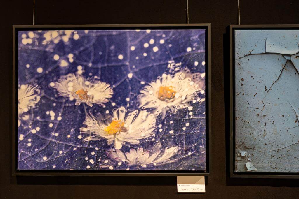Kunstfoto von Blumen auf strukturiertem Hintergrund in Blau und Lila, ausgestellt in einer Galerie.