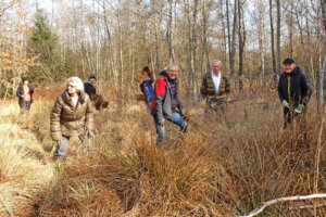 Gruppe von Freiwilligen bei der Waldpflege im Herbst, umgeben von kahlen Bäumen und hohem Gras.