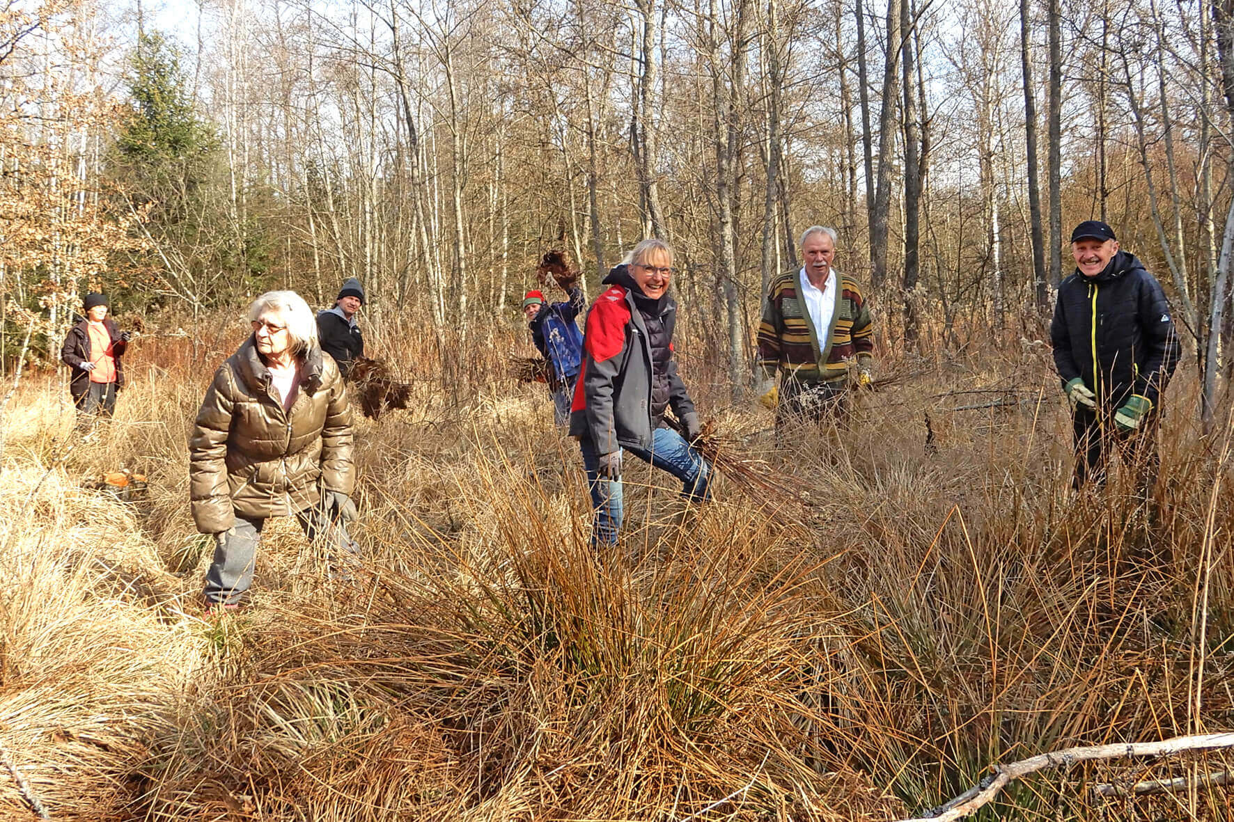 Gruppe von Freiwilligen bei der Waldpflege im Herbst, umgeben von kahlen Bäumen und hohem Gras.