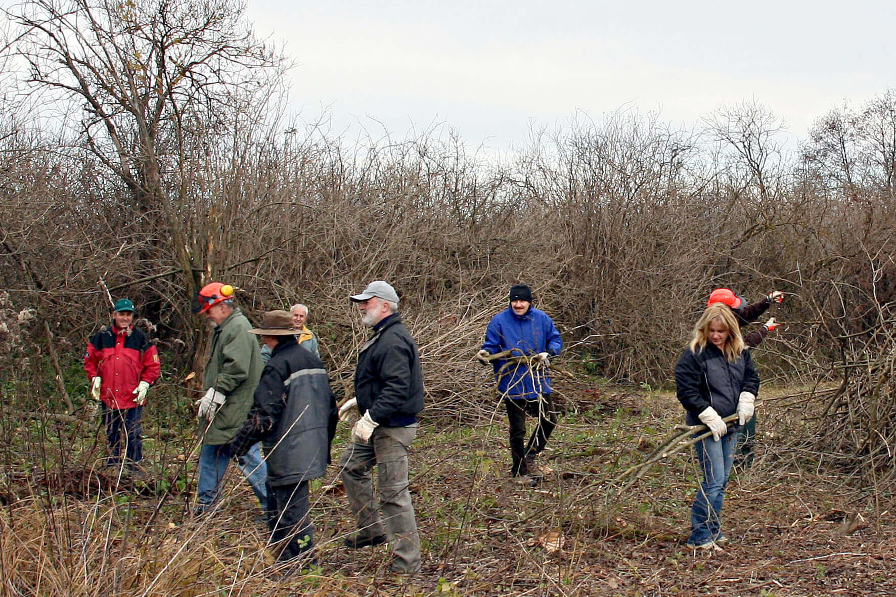 Gruppe von Freiwilligen beim Entfernen von Gestrüpp in einem winterlichen Naturgebiet zur Landschaftspflege.