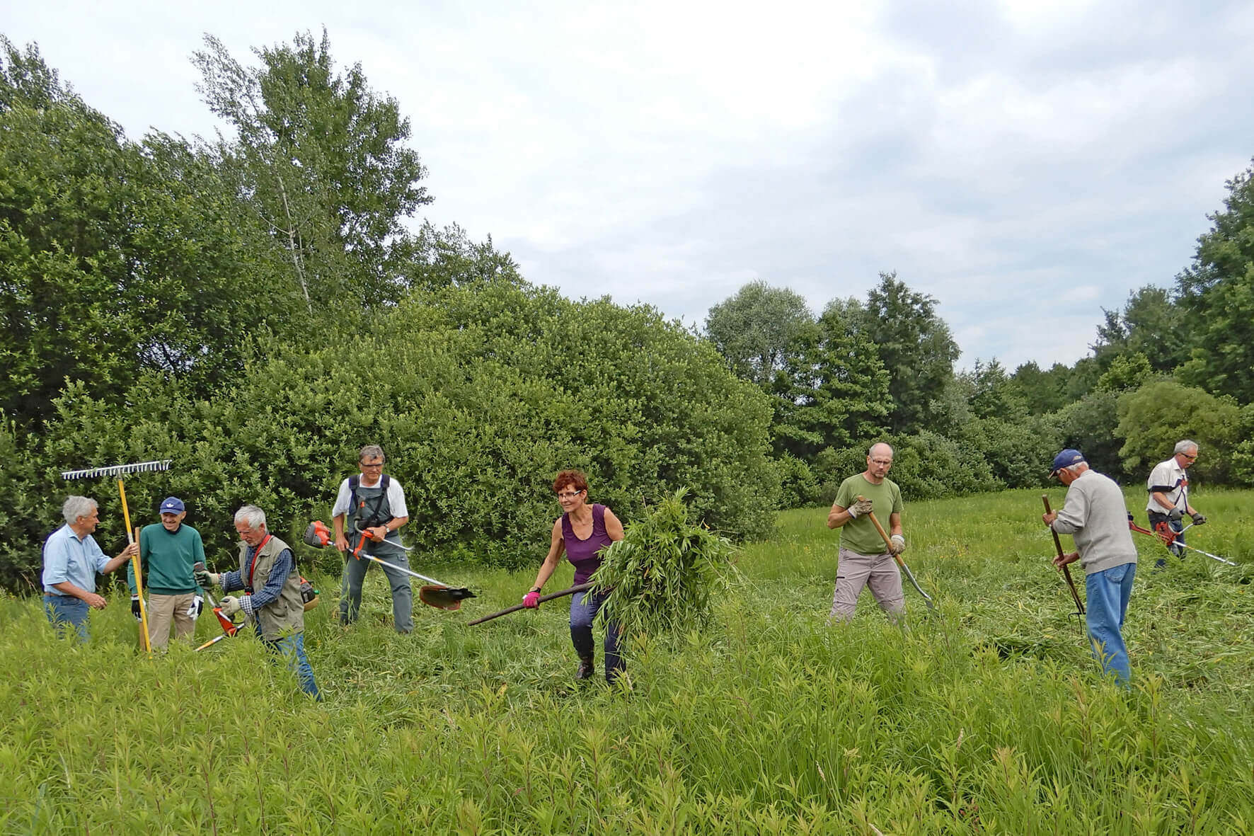 Gruppe von Freiwilligen bei der Pflege eines Naturschutzgebiets an einem bewölkten Tag im Grünen mit Werkzeugen.