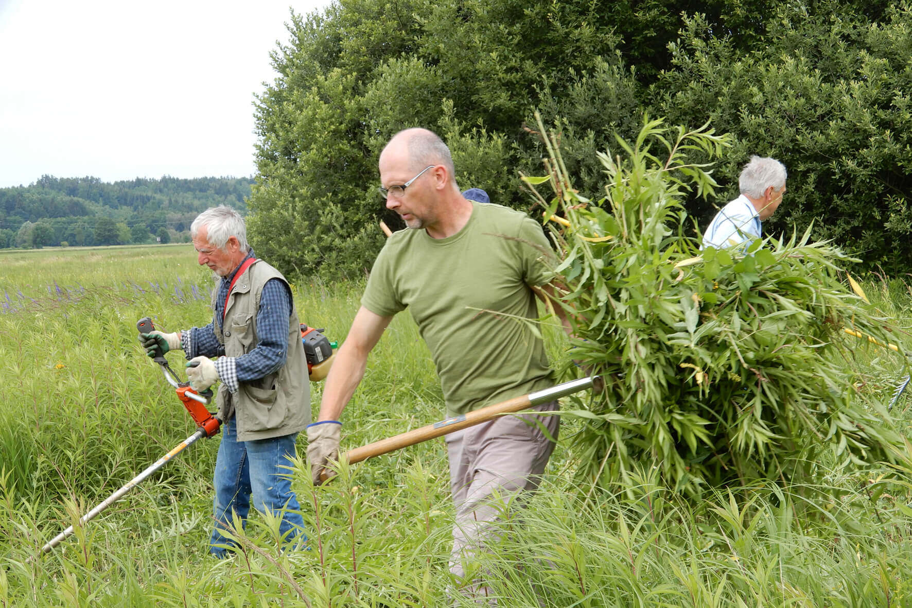 Personen entfernen Unkraut auf einer Wiese, Umweltpflege und Landschaftsgestaltung in der Natur.