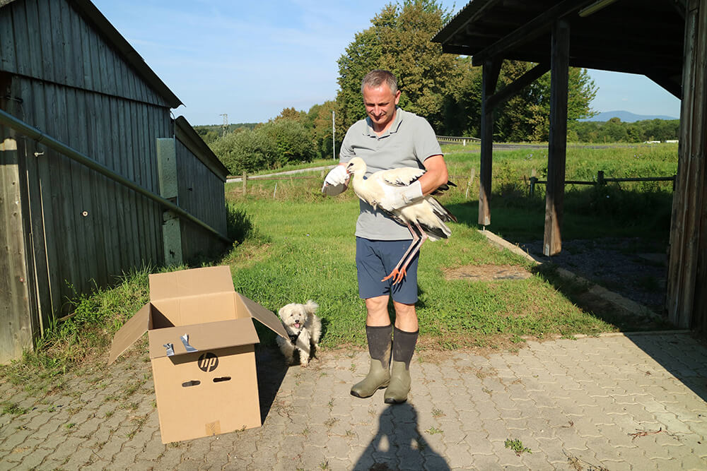 Dietmar Rudolics2024a©Hans Leitner Mann mit Storch und Hund auf einem Bauernhof neben einem offenen Karton am sonnigen Tag.