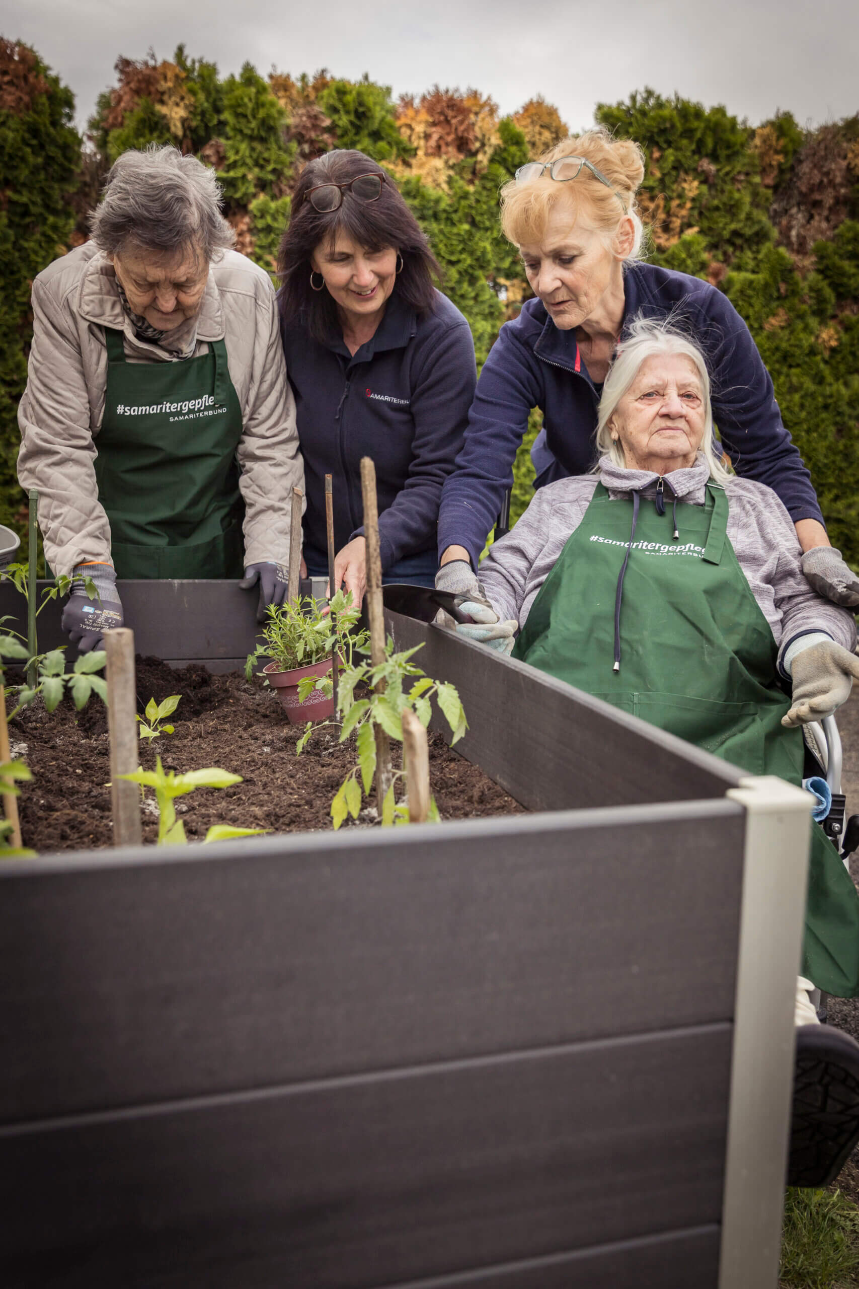 Senioren gärtnern gemeinsam im Hochbeet, unterstützt von Betreuern in einem grünen Garten, umgeben von Bäumen.