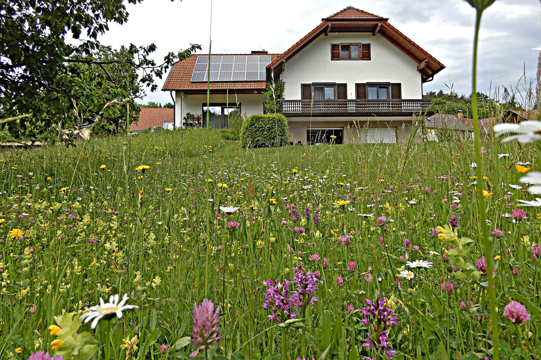 Einfamilienhaus mit Solarpanelen, umgeben von einer bunten Wildblumenwiese unter bewölktem Himmel.