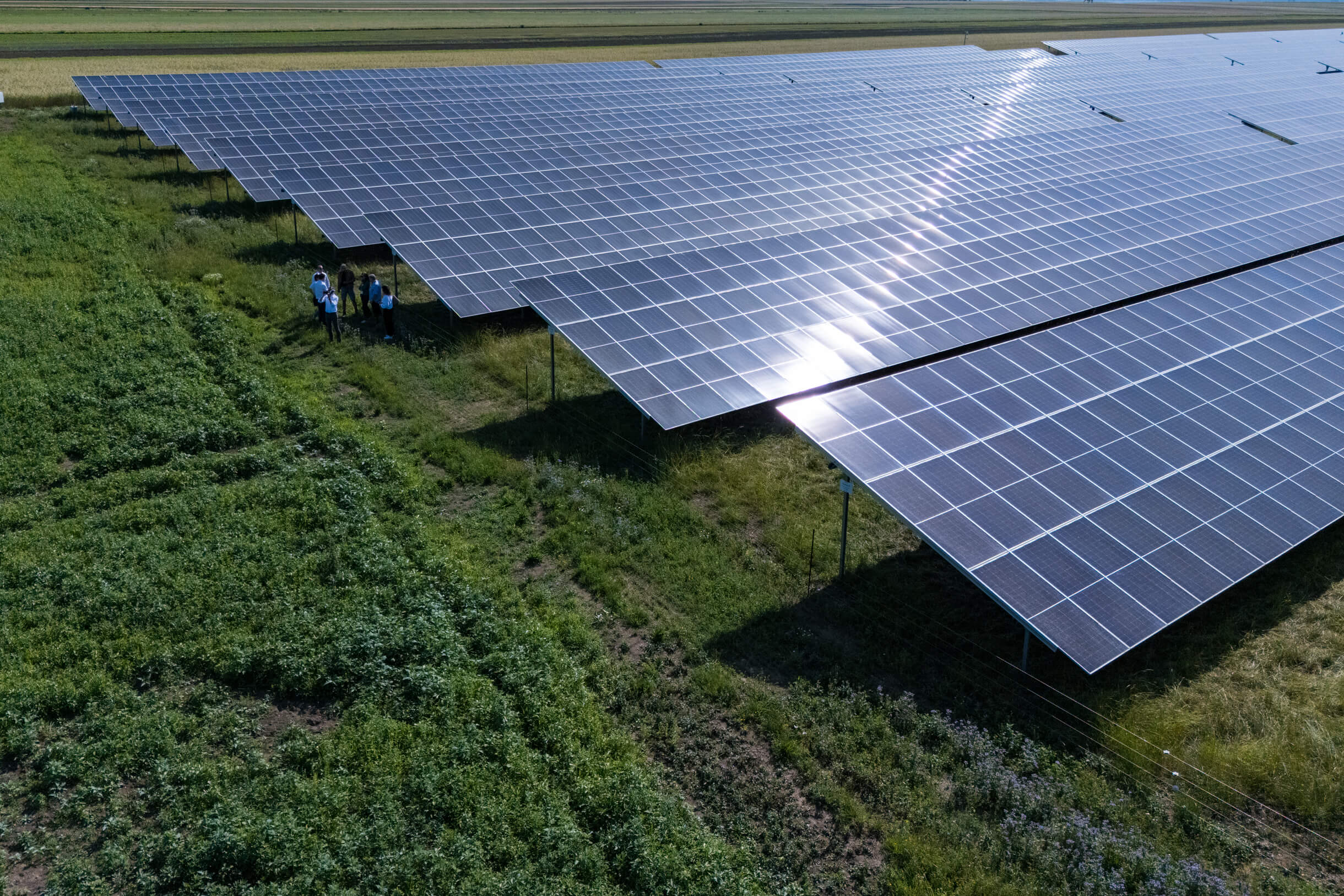 Luftaufnahme von Solarzellen auf einem grünen Feld, Energie-Mitarbeiter inspizieren die Photovoltaikanlage.