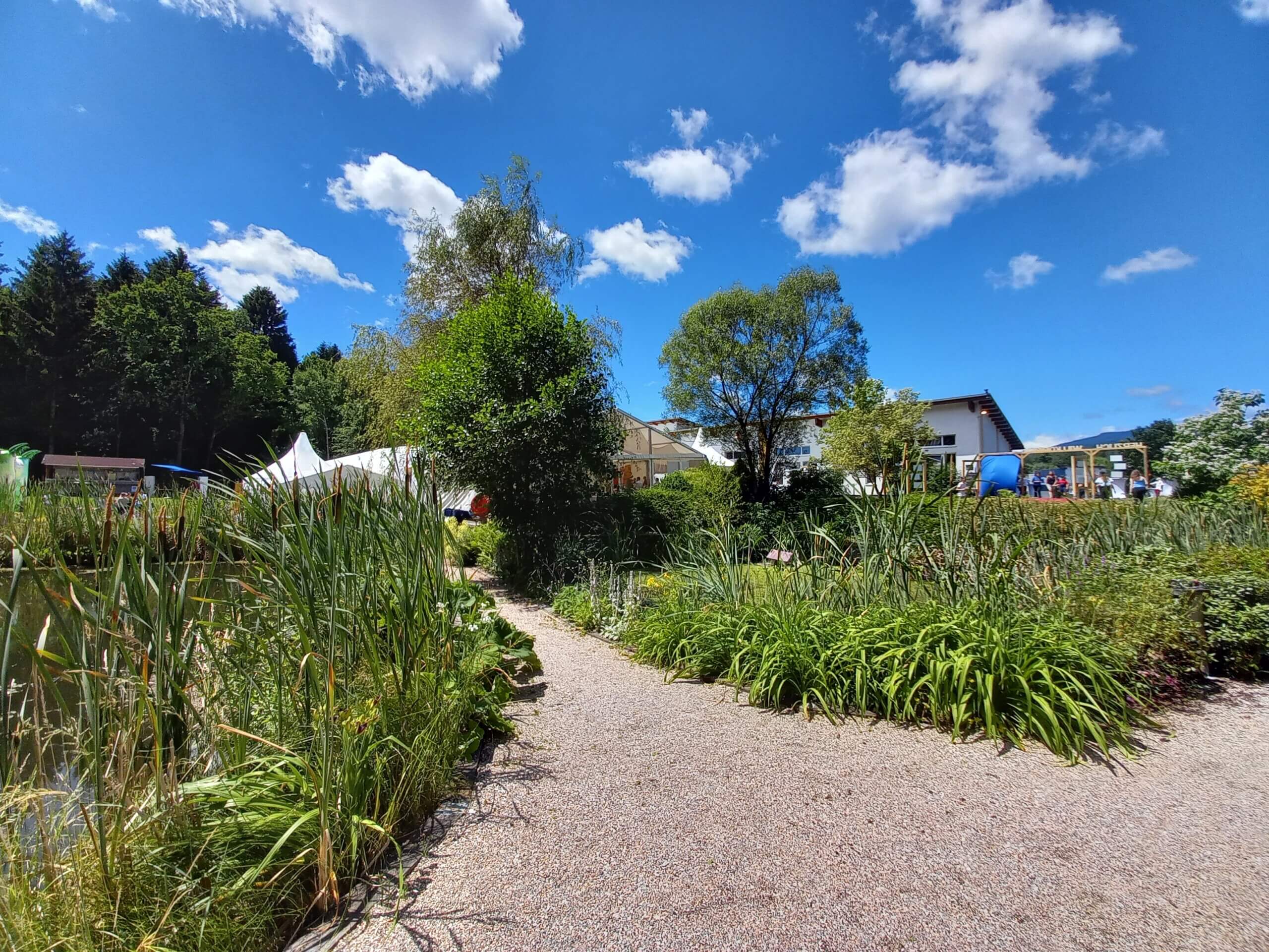 Gartenweg mit grüner Vegetation, einem Teich und blauem Himmel im Hintergrund, ideal für Naturerholung.