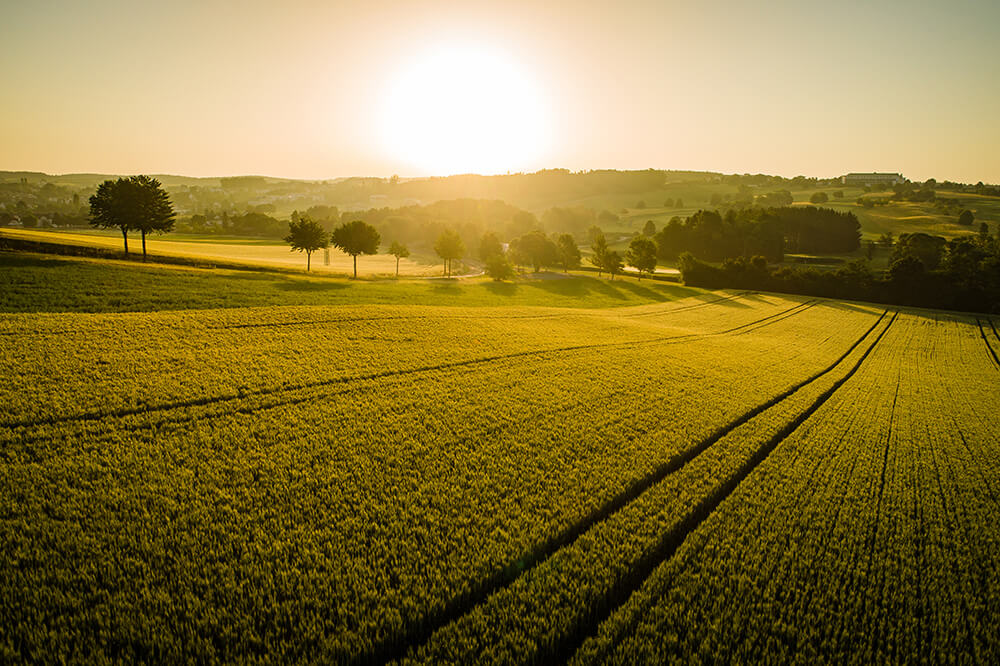 WEB_idyllische Natur und befreiende Weite ©Bad Tatzmannsdorf Tourismus - K. Schrotter Photograph Sonnenaufgang über einem weiten, grünen Feld mit sanften Hügeln, ideal für Landschafts- und Naturfotografie.