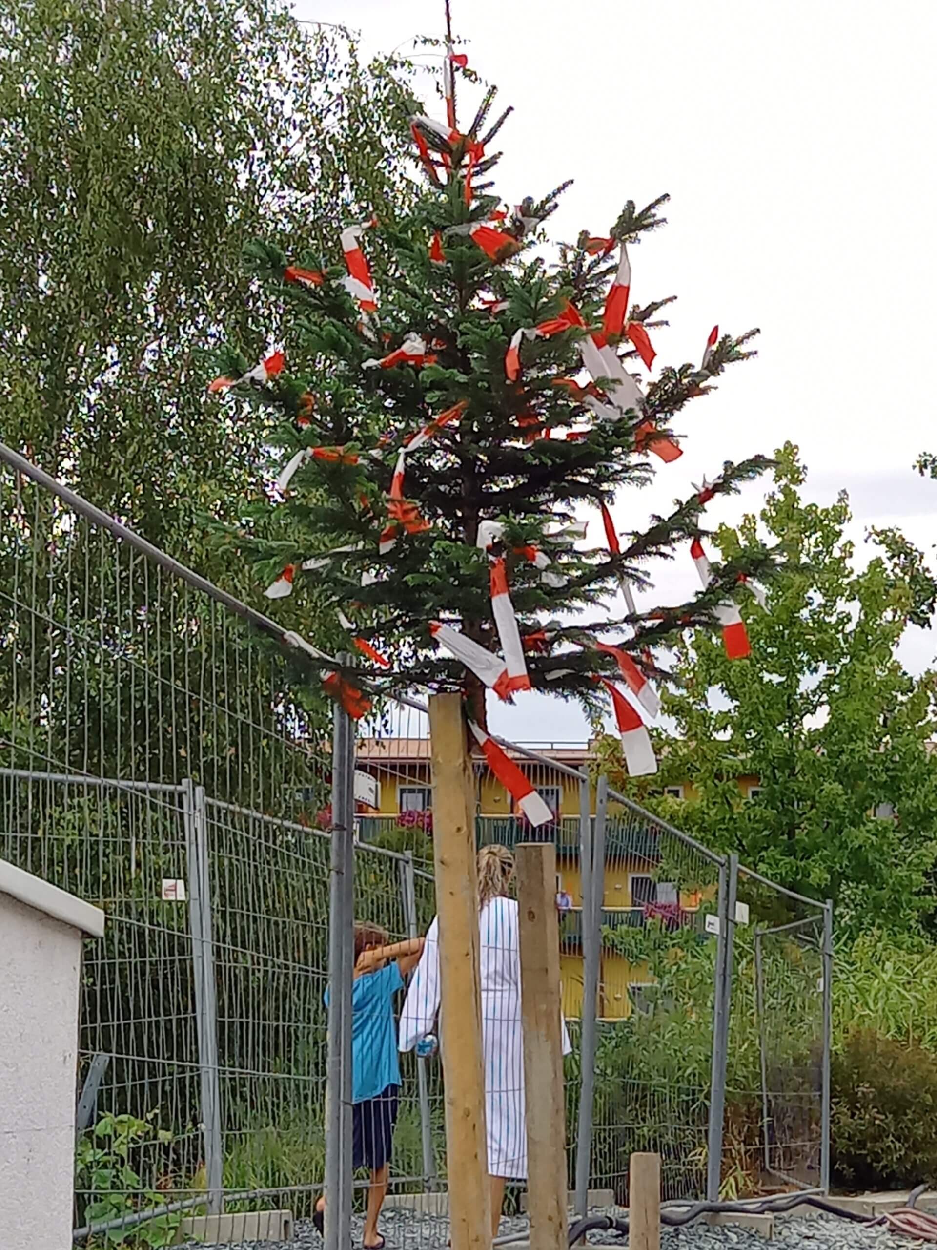 Ein traditioneller Richtbaum mit roten Bändern auf einer Baustelle, Menschen im Hintergrund.
