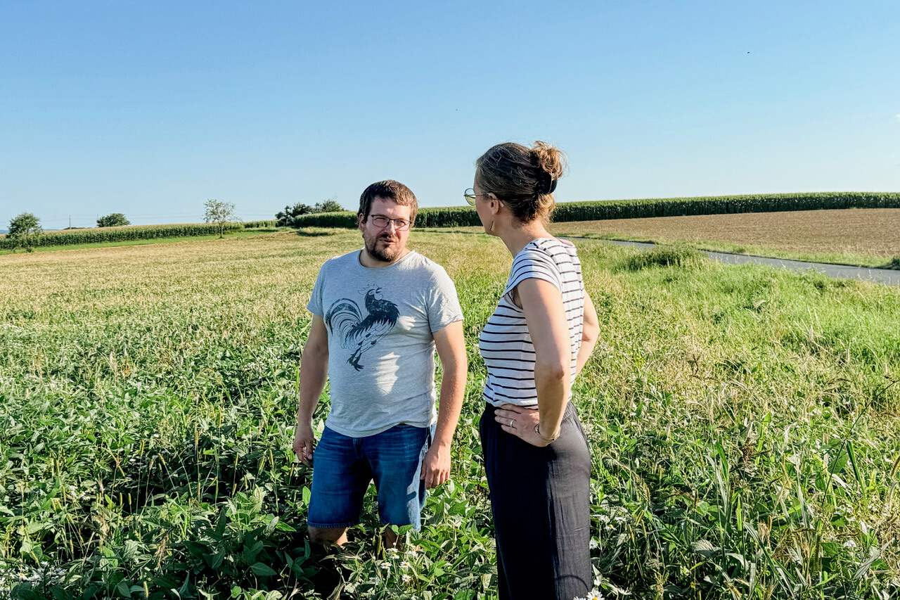 Zwei Personen unterhalten sich auf einem Feld an einem sonnigen Tag, mit grünen Pflanzen im Vordergrund.