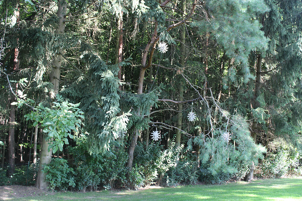 Kiefernwald im Sommer, mit weiße Dekorationen an den Ästen, im Sonnenlicht, idyllische Waldszene.
