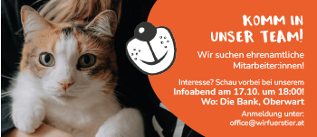 Ehrenamtliche Mitarbeiter gesucht: Infotreffen am 17.10., 18:00 in Oberwart. Kontakt: office@wirfuerstier.at.
