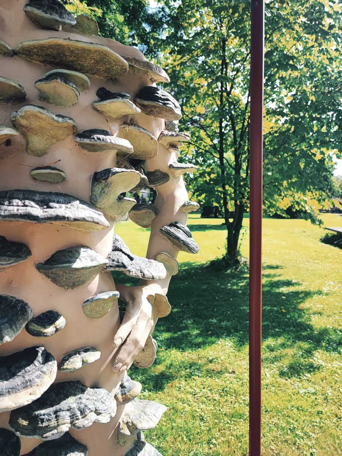 Skulptur mit Pilzmotiven im sonnigen Park, grüne Bäume im Hintergrund.