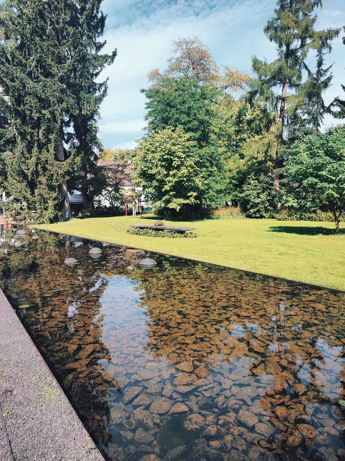 Klarer Teich in einem grünen Park, Bäume spiegeln sich im Wasser, ruhige und natürliche Umgebung.