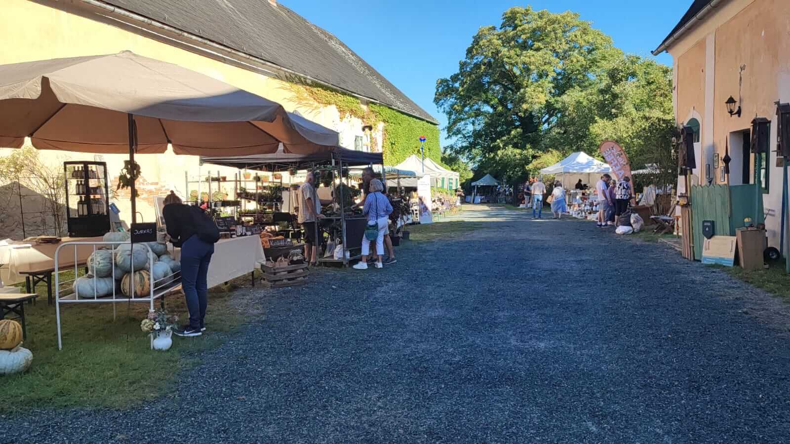 Traditioneller Bauernmarkt bei Sonnenschein mit verschiedenen Ständen und vielen Besuchern im Freien.