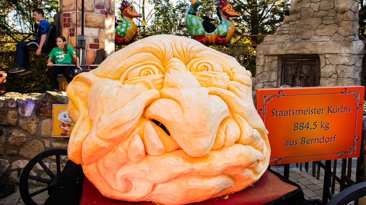 Riesiger geschnitzter Kürbis in Form eines Gesichts, mit Schild: Staatsmeister Kürbis 884,5 kg aus Berndorf, bei einem Event.