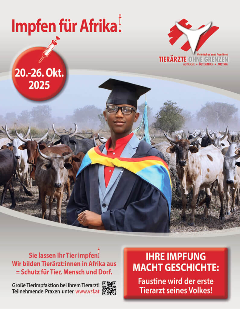 IFA2025_Plakatsujet Afrikanischer Absolvent im Talar vor Rinderherde, unterstützt von Tierärzte ohne Grenzen für Impfaktion in Afrika.