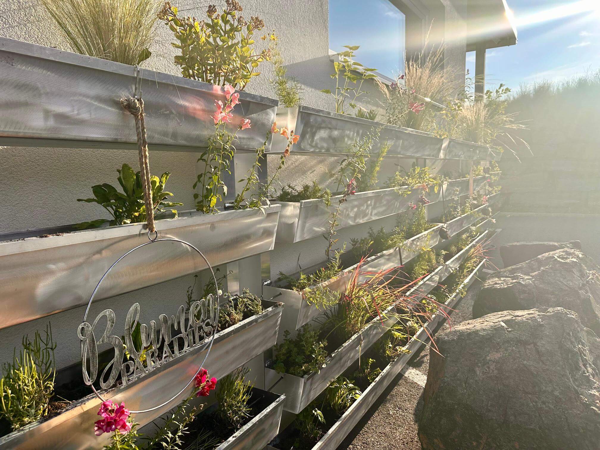 Vertikaler Garten an einer Hauswand im Sonnenlicht, mit Blumen und einem Schild „Blumenparadies“, aufgenommen für Prima Magazin.