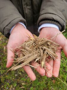 Hände halten Bündel trockene Pflanzenfasern, Fokus auf nachhaltige Landwirtschaft, Prima Magazin.