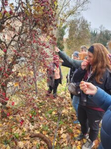 Gruppe von Menschen erkundet herbstliche Natur mit roten Beeren, begleitet von einem Hund, bei einer Outdoor-Aktivität.