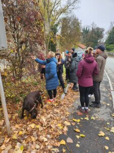 Gruppe bei Herbstwanderung erkundet Natur, Frau zeigt auf Strauch, Hund schnüffelt Laub. Ideal für Prima Magazin-Leser.